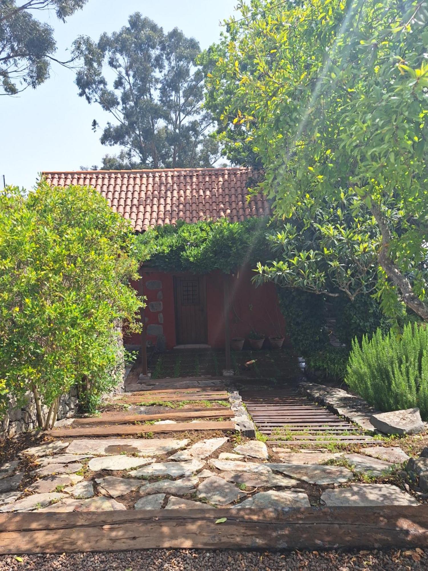 CASA COMPLETA CON PISCINA PRIVADA El ROBLE Moya (Gran Canaria) Exterior foto