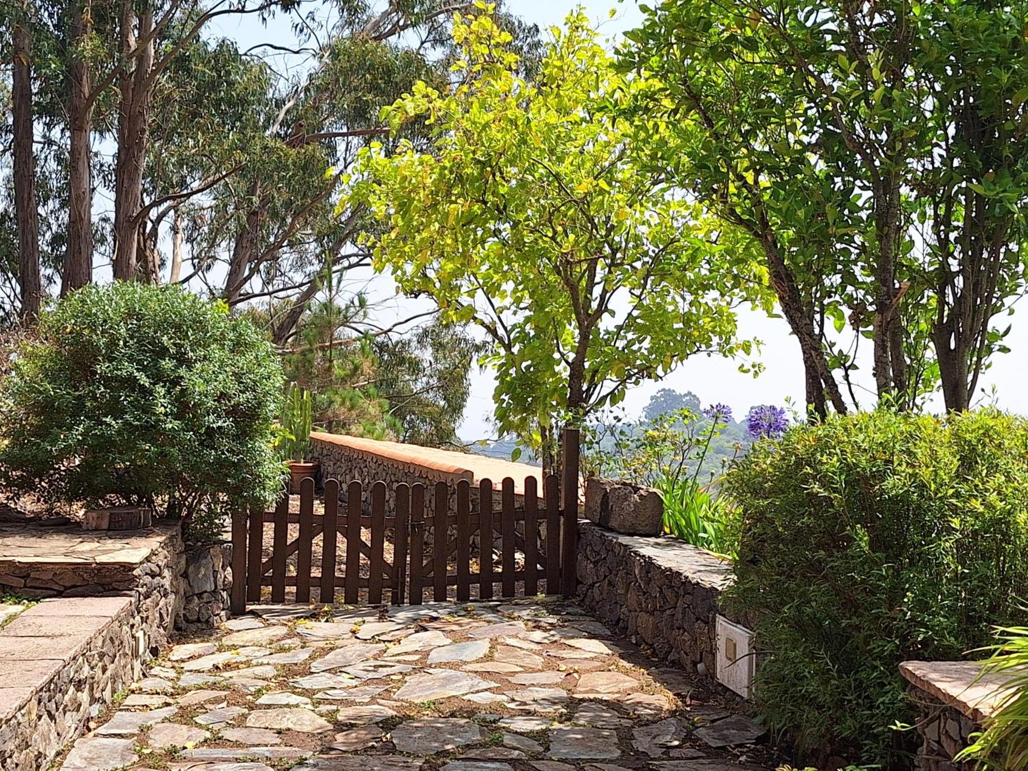 CASA COMPLETA CON PISCINA PRIVADA El ROBLE Moya (Gran Canaria) Exterior foto