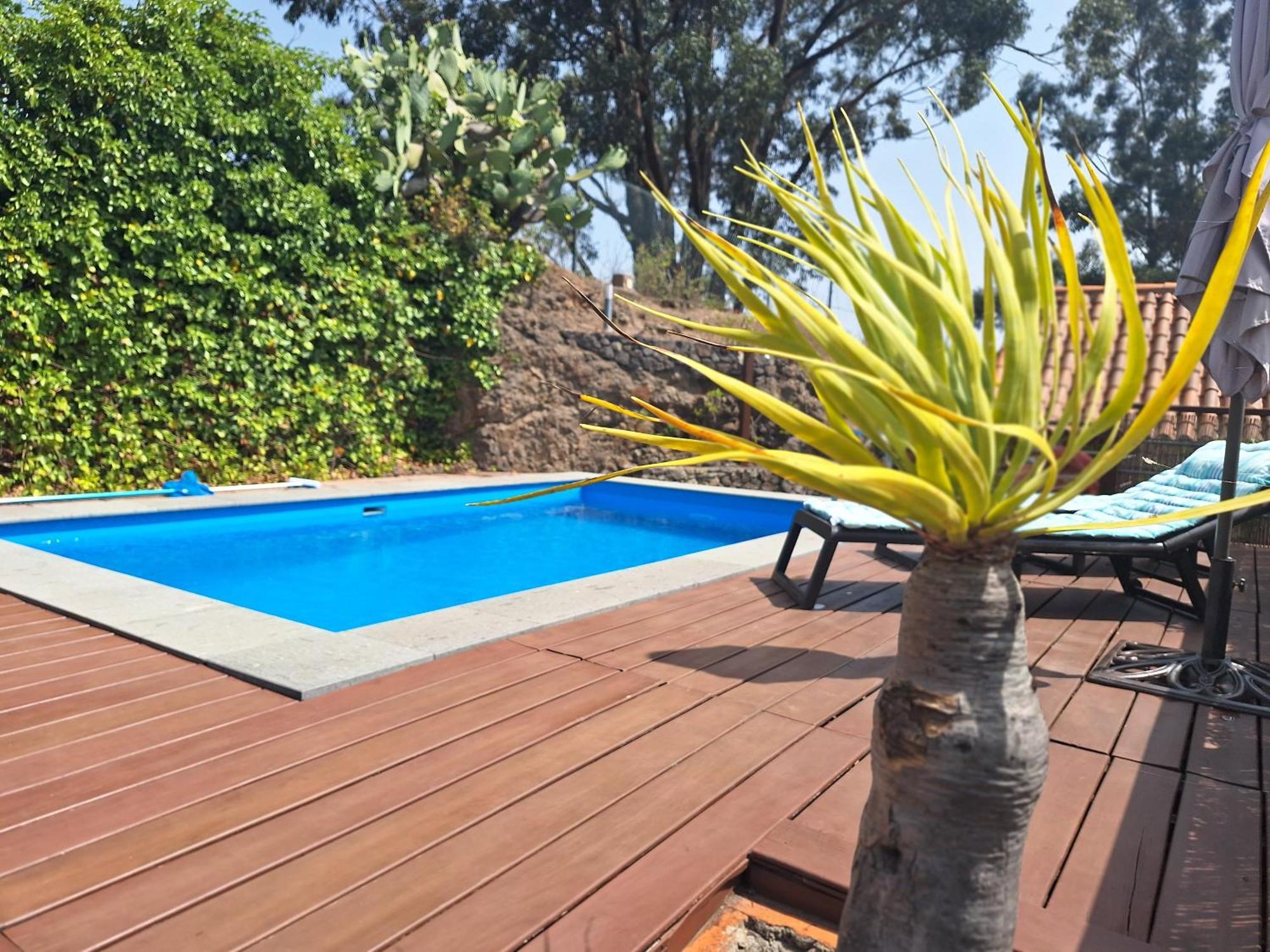 CASA COMPLETA CON PISCINA PRIVADA El ROBLE Moya (Gran Canaria) Exterior foto