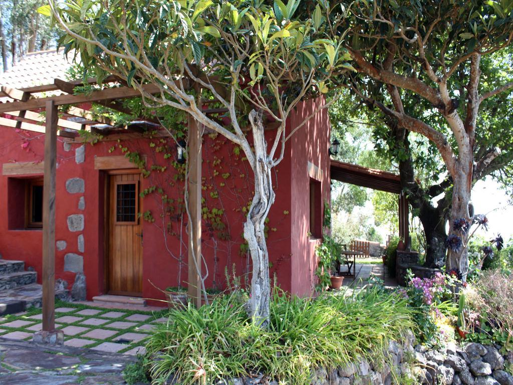 CASA COMPLETA CON PISCINA PRIVADA El ROBLE Moya (Gran Canaria) Exterior foto