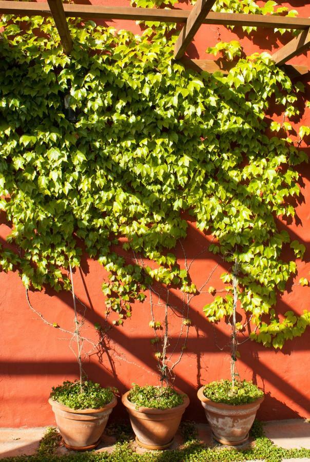 CASA COMPLETA CON PISCINA PRIVADA El ROBLE Moya (Gran Canaria) Exterior foto